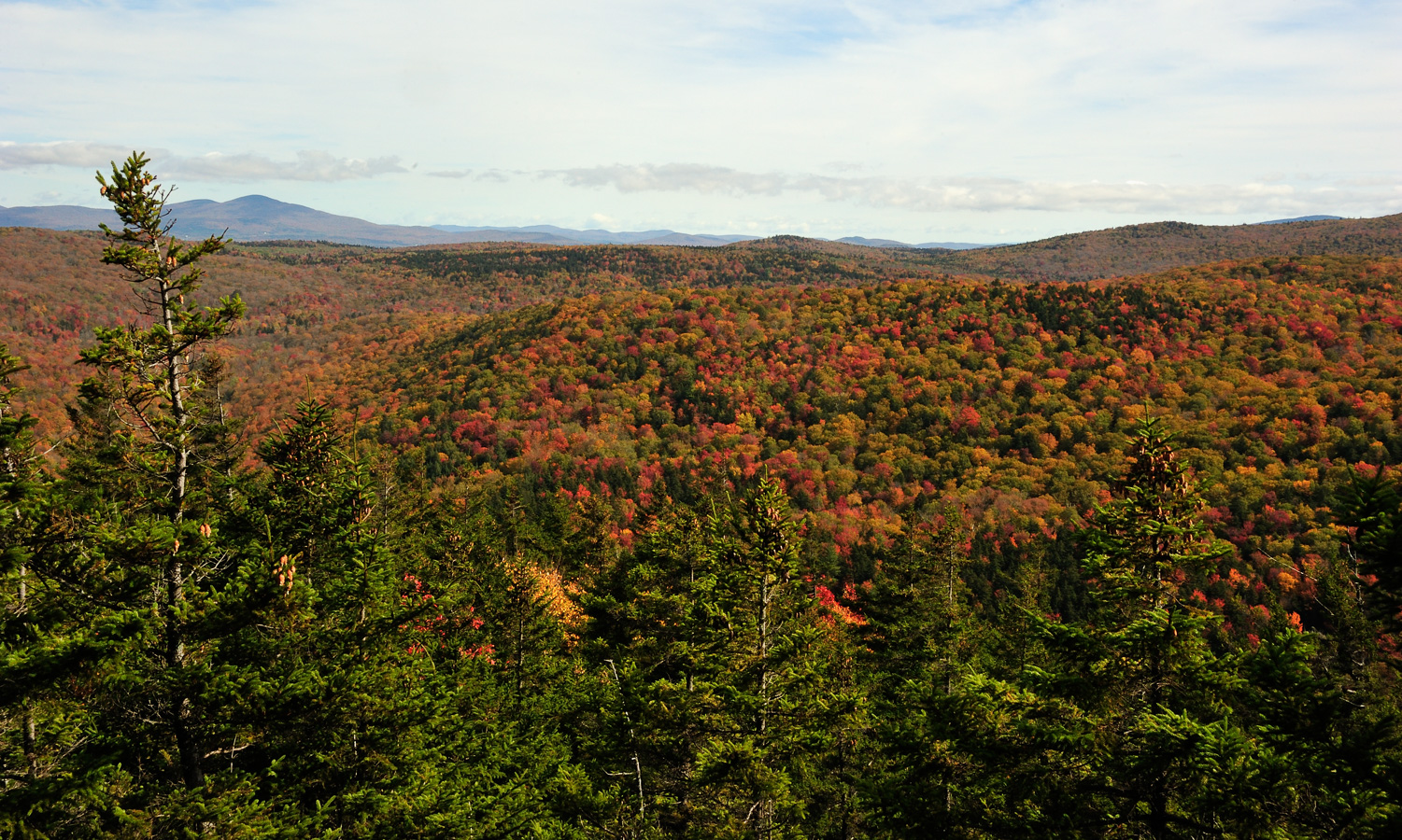 Hike up Mt. Cabot [42 mm, 1/125 sec at f / 22, ISO 400]